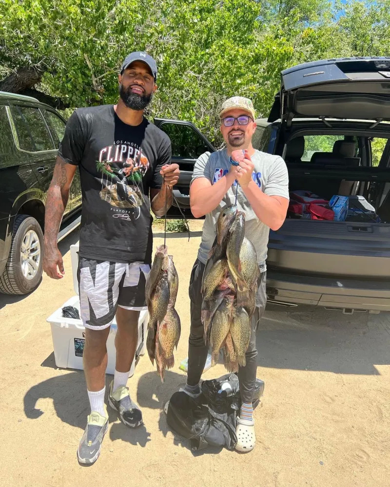 球跑动找到 球跑动找到