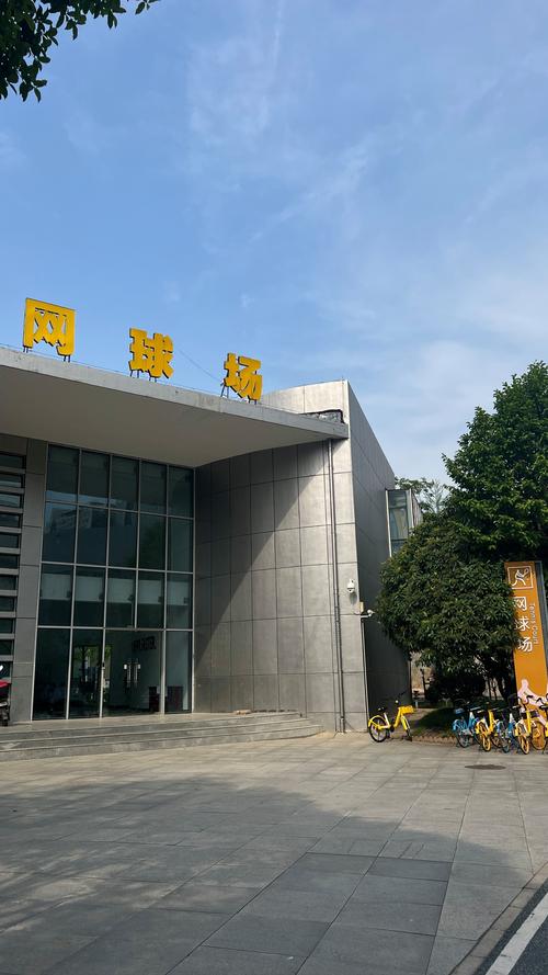 过三中卫与